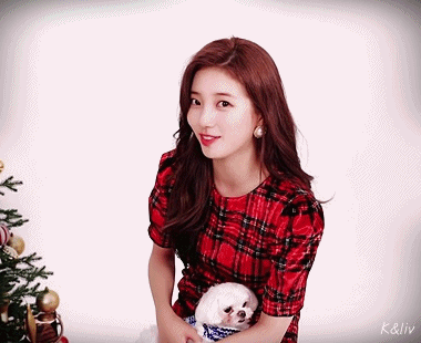 크리스마스 인사하는 수지 gif | 인스티즈