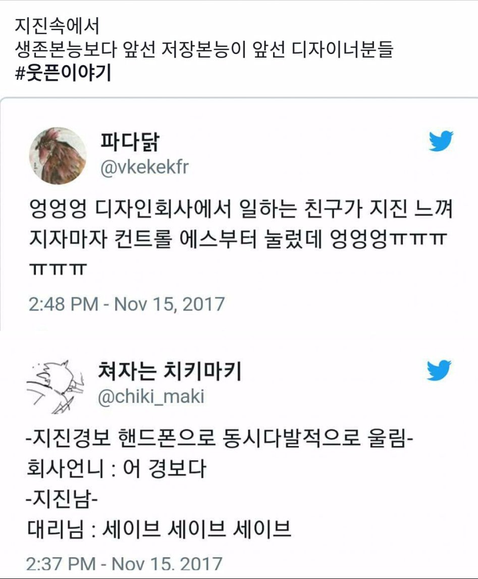 디자이너의 본능 | 인스티즈