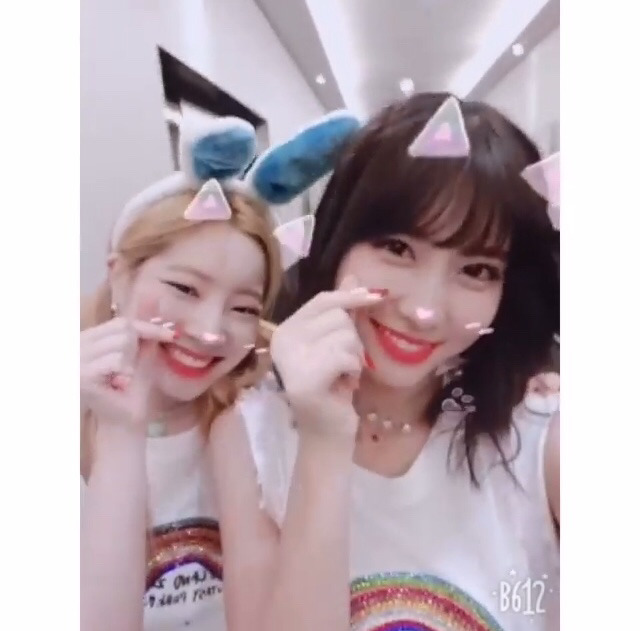 6/17 트와이스 두부한모.jpg | 인스티즈