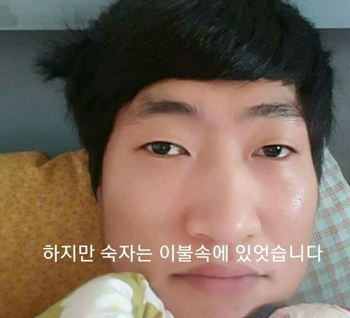 차라리 날 죽여...라는 제목으로 올라온 글(feat 집사).jpg | 인스티즈