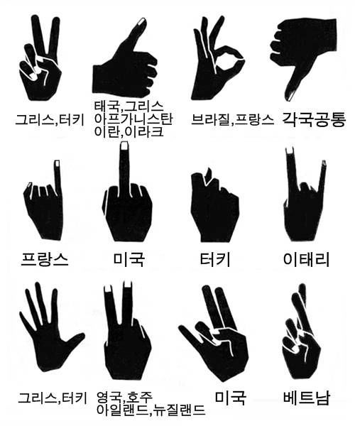 세계의 손가락 욕설 | 인스티즈