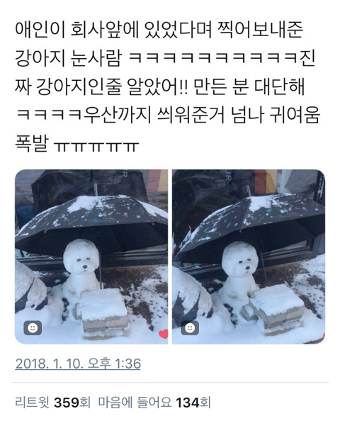 폭설 속의 눈댕댕이 | 인스티즈