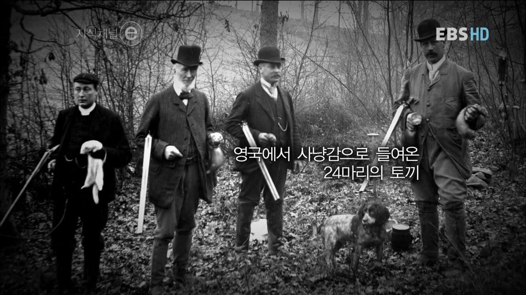 호주의 토끼전쟁 | 인스티즈
