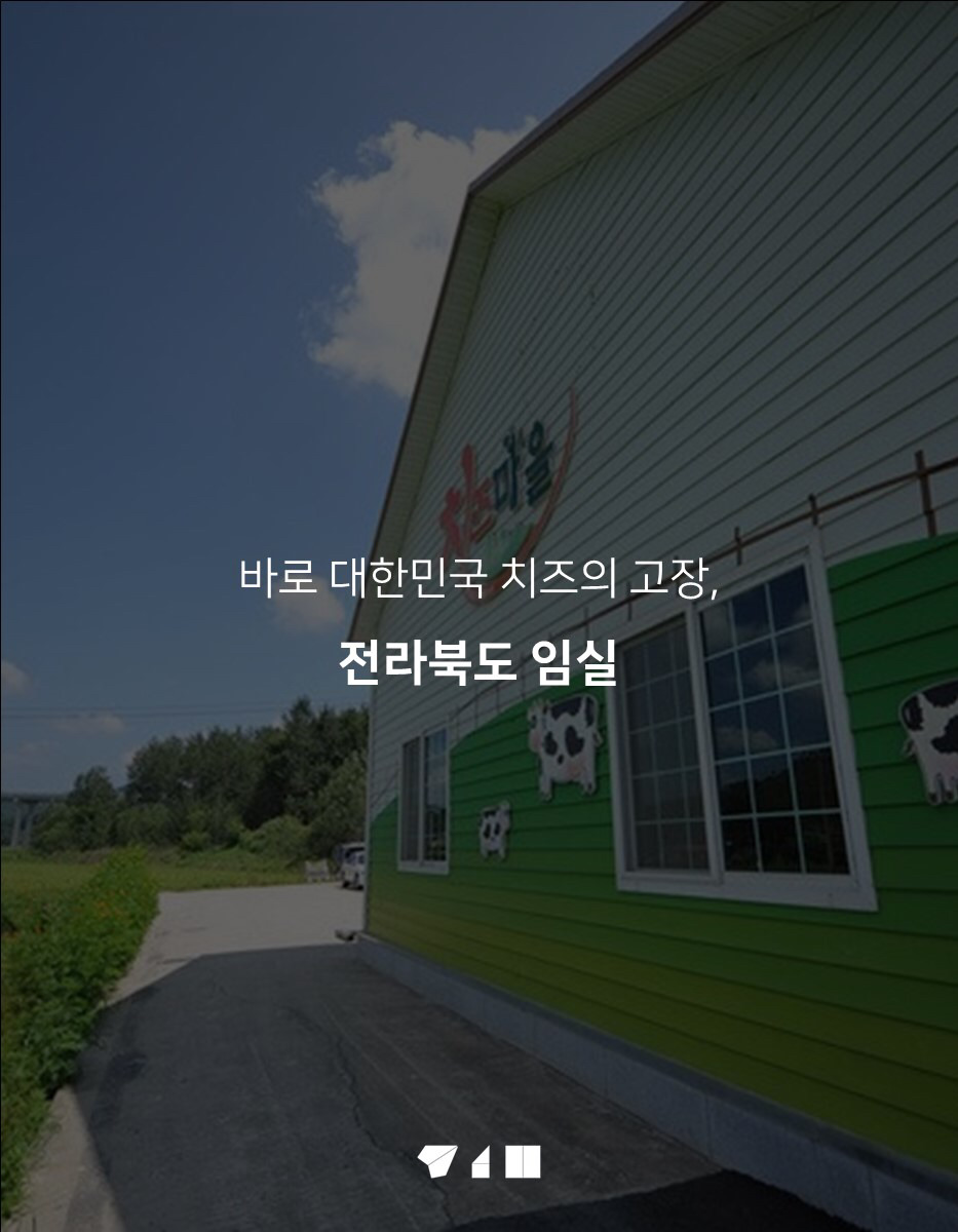 대한민국 치즈의 숨겨진 비밀 | 인스티즈