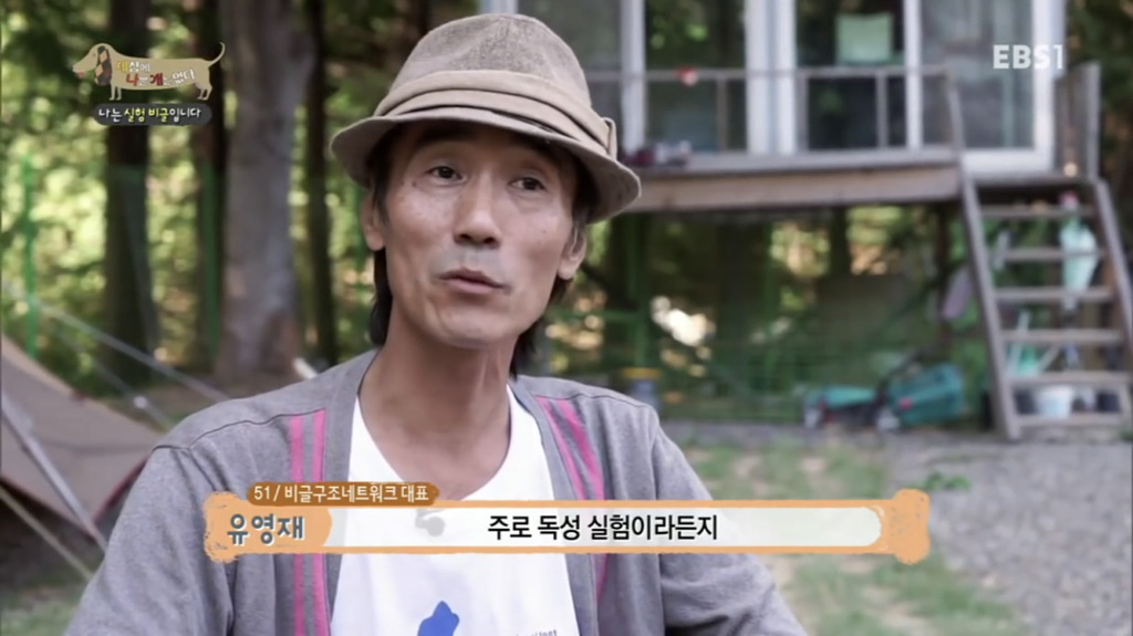 실험 비글을 아십니까? 동물실험에서 가장 많이 사용되는 견종.jpg (맴찢주의) | 인스티즈