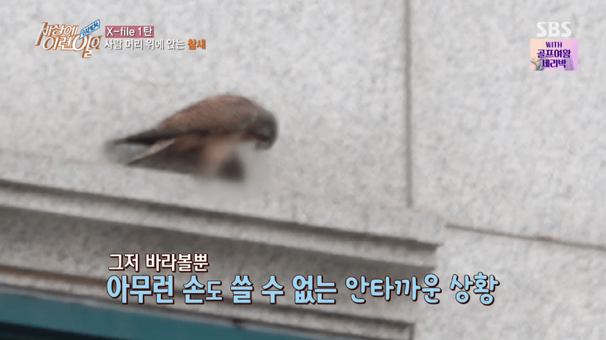 세상에 저런 이런일이 | 인스티즈