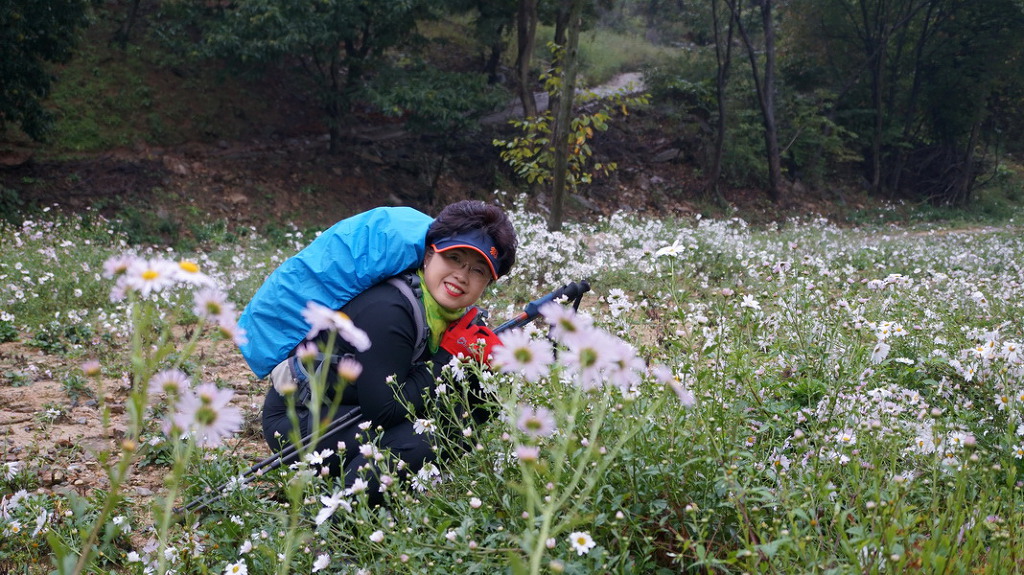 장군산 이미지
