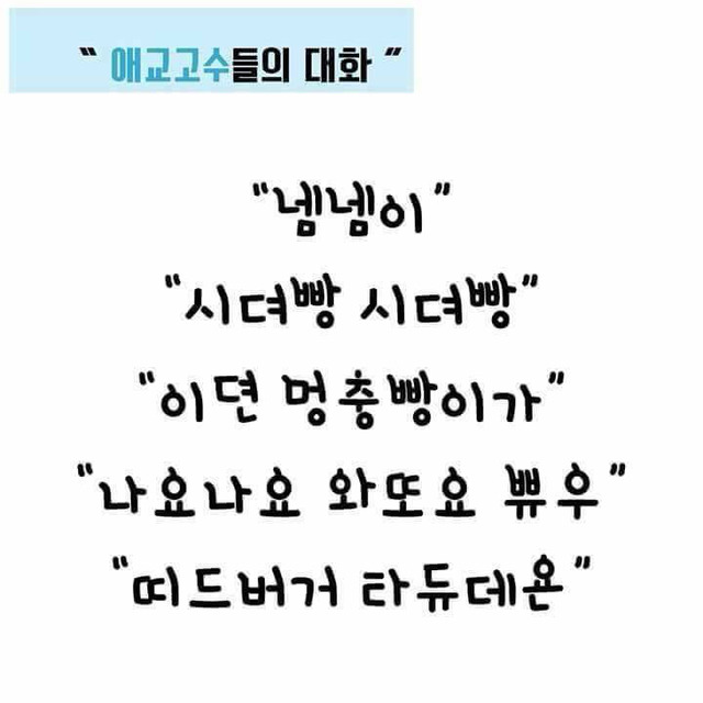애교쟁이가 되는 법.jpg | 인스티즈
