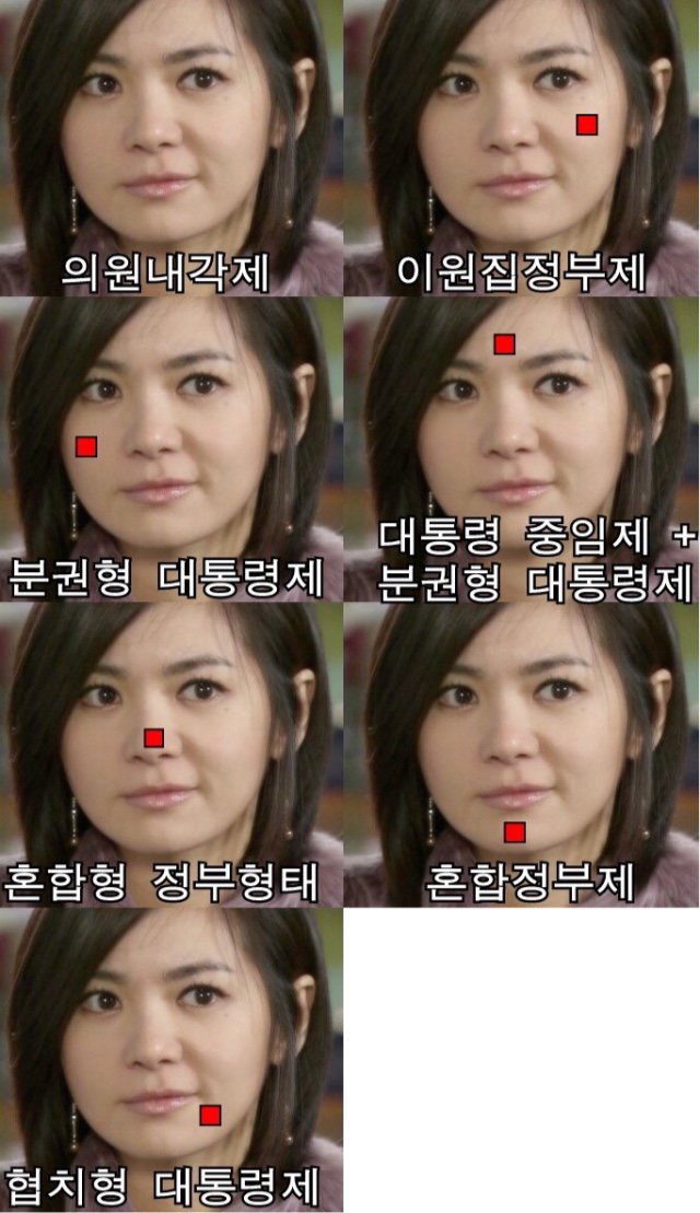 의원 내각제의 유혹 - 여의도 기득권 세력의 의원내각제 이름 바꾸기 사 | 인스티즈