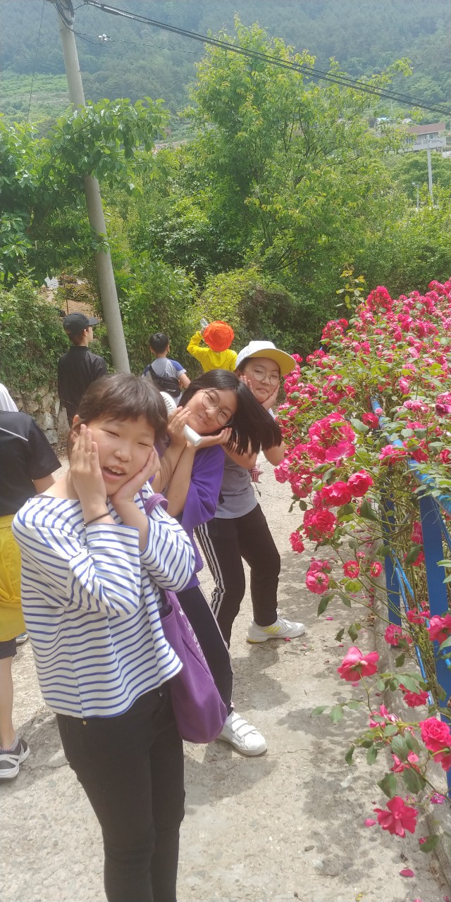 세포마을가는개 이미지