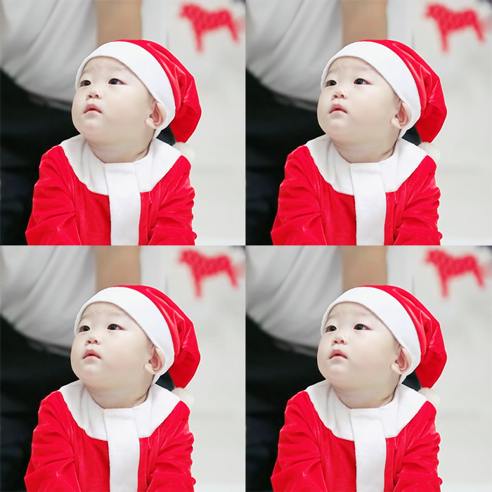 크리스마스 기념 산타복 입은 대박이.jpgif | 인스티즈