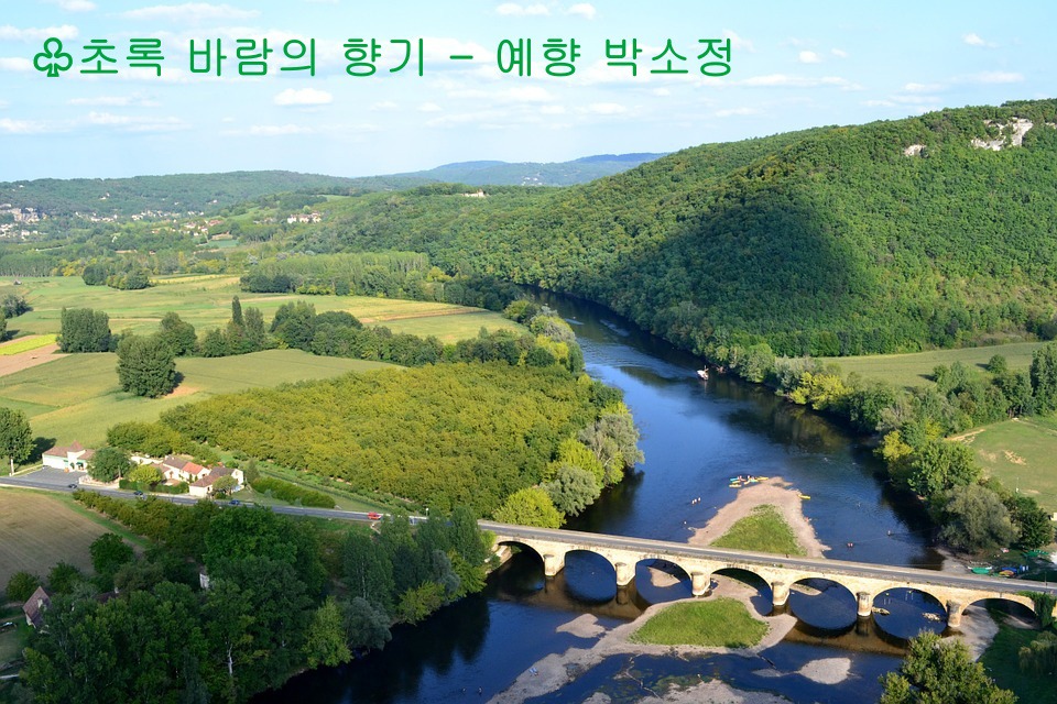 초록바람 이미지
