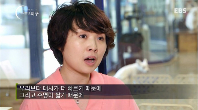 처음 반려동물 키우기 시작했을 때 너무 좋고 예뻐서 생각하지 못하는 것.jpg | 인스티즈