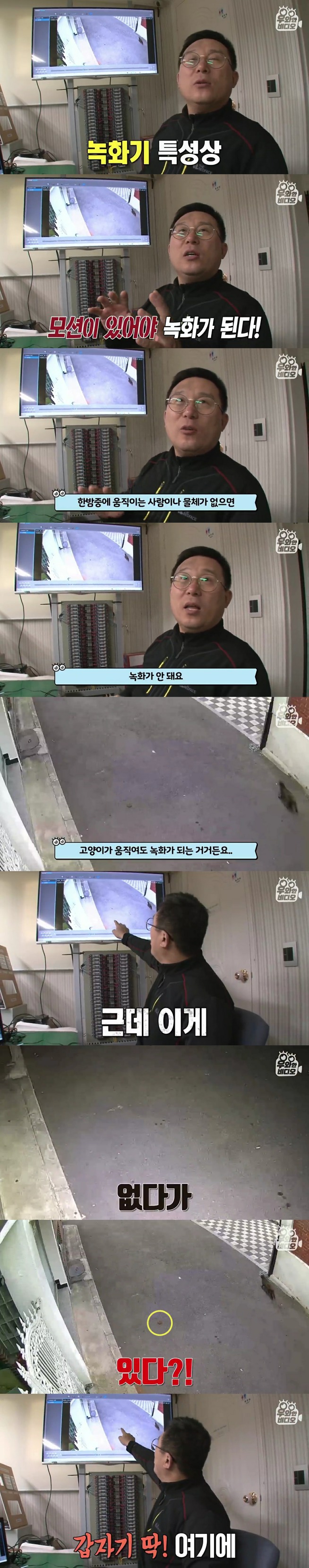 골목에 똥을 던져서 CCTV를 설치해봤더니 | 인스티즈