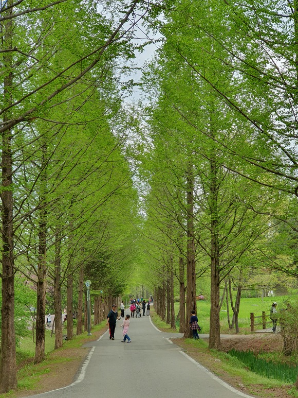 9955844B5CC6510024B5E3