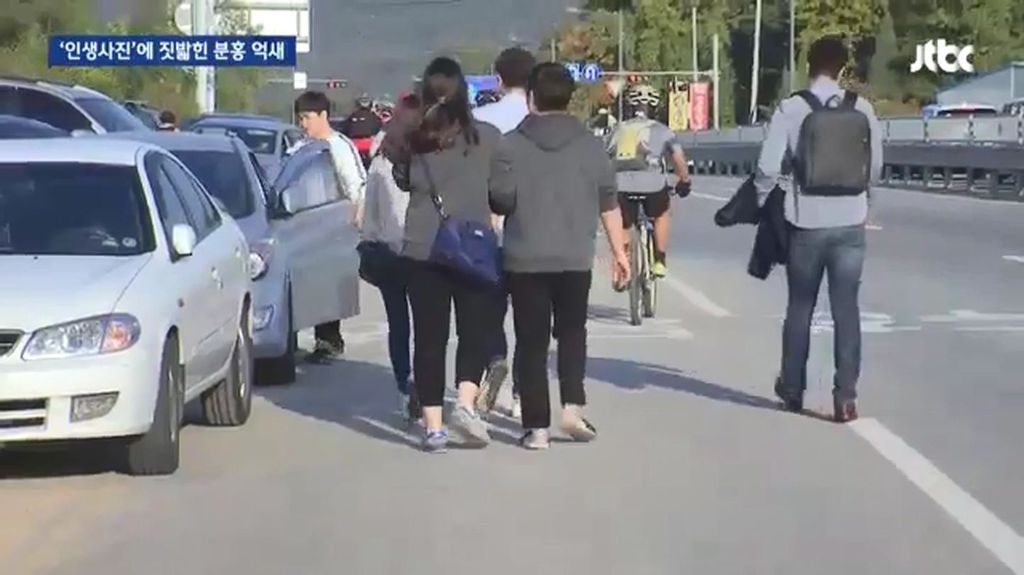 인생사진에 짓밟힌 분홍 억새.jpg | 인스티즈