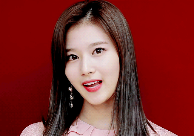 시바견인가 다람쥐인가....... 사나 | 인스티즈