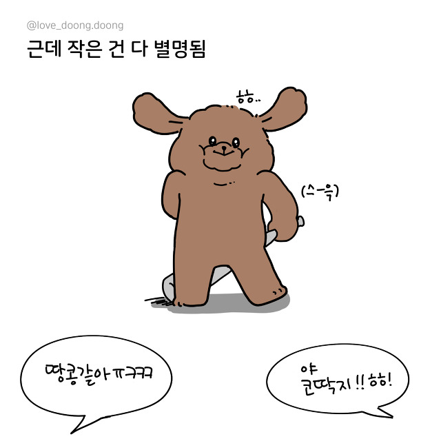 키 작은 애들 특징.jpg | 인스티즈