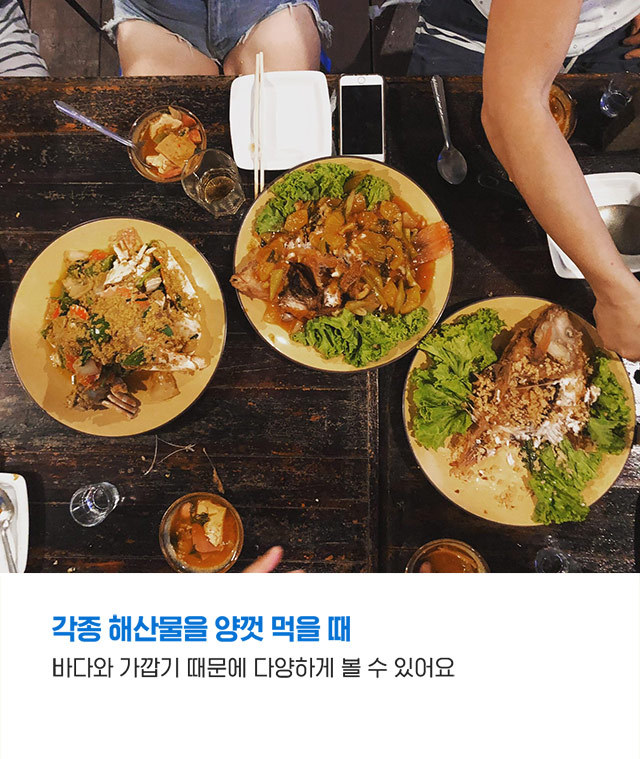태국 코끼리섬 꼬창에서 느낀 매력적인 순간 | 인스티즈
