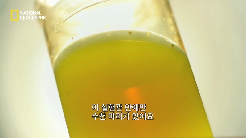 댈롤 화산: 지옥과 같은 이곳에 사는 단 하나의 생명체 | 인스티즈