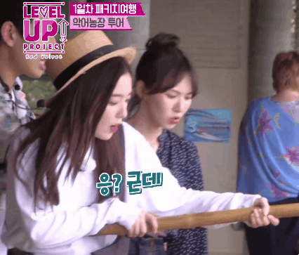 동물들이랑 교감하는 아이린.gif | 인스티즈