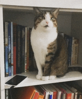 핸드폰이 계속 잘 팔리는 이유.gif | 인스티즈