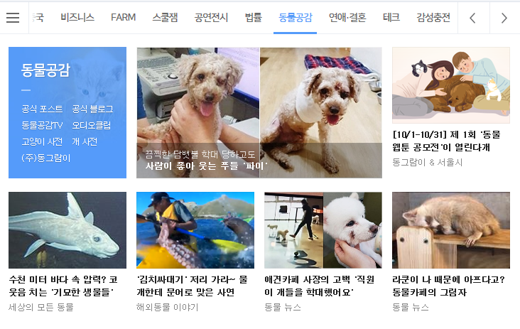 공감 이미지