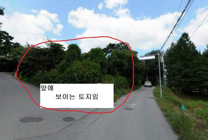 대지 이미지