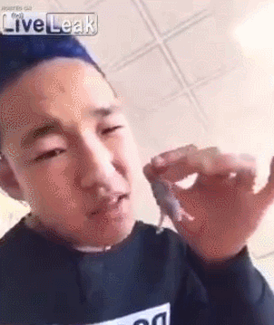 중국의 베어그릴스.gif | 인스티즈