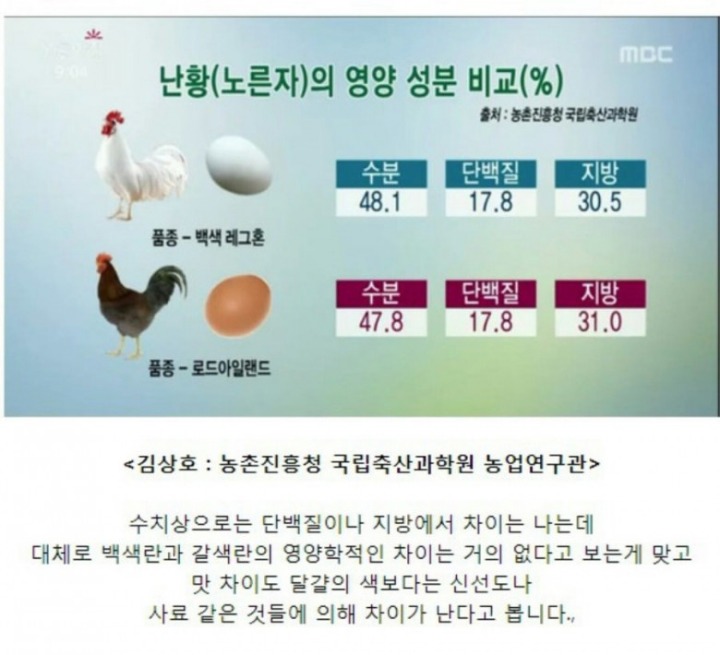 우리나라 달걀은 맛이 없다? | 인스티즈