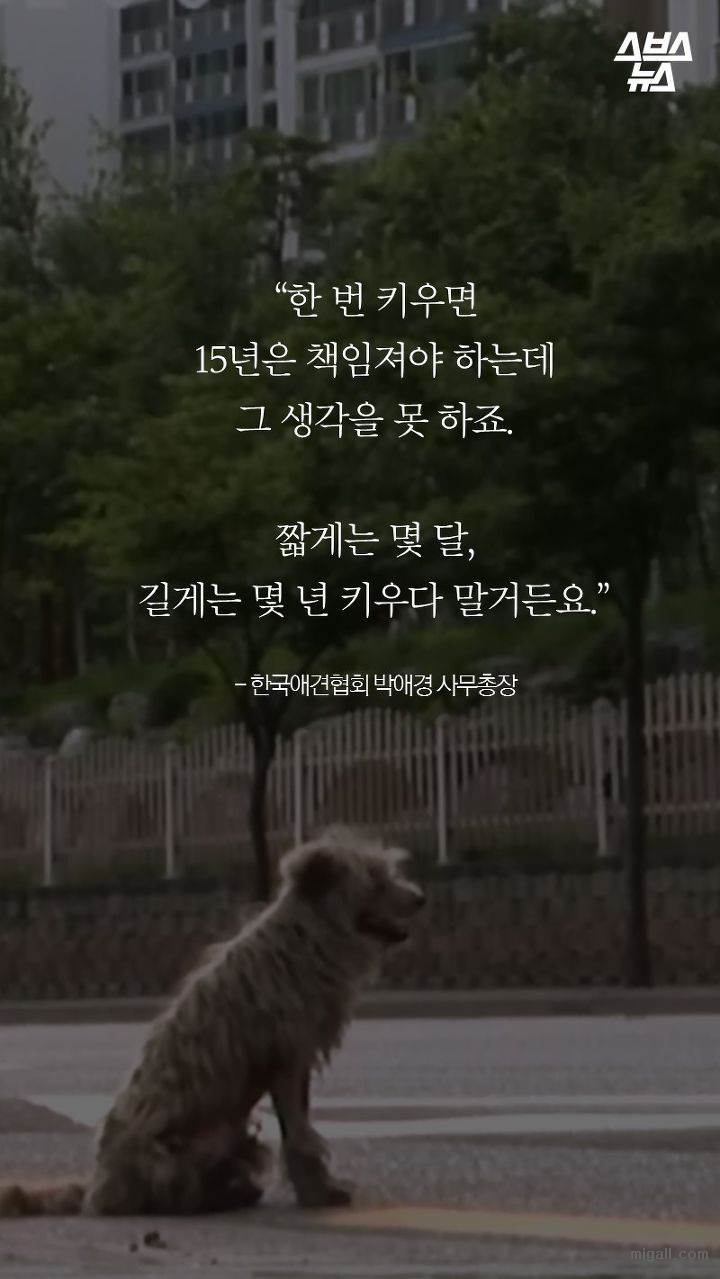 개들도 유행을 탄다.JPG | 인스티즈