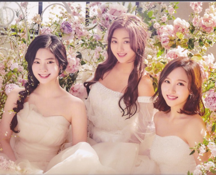 트와이스 9명 웨딩 드레스 (데이터 주의) | 인스티즈