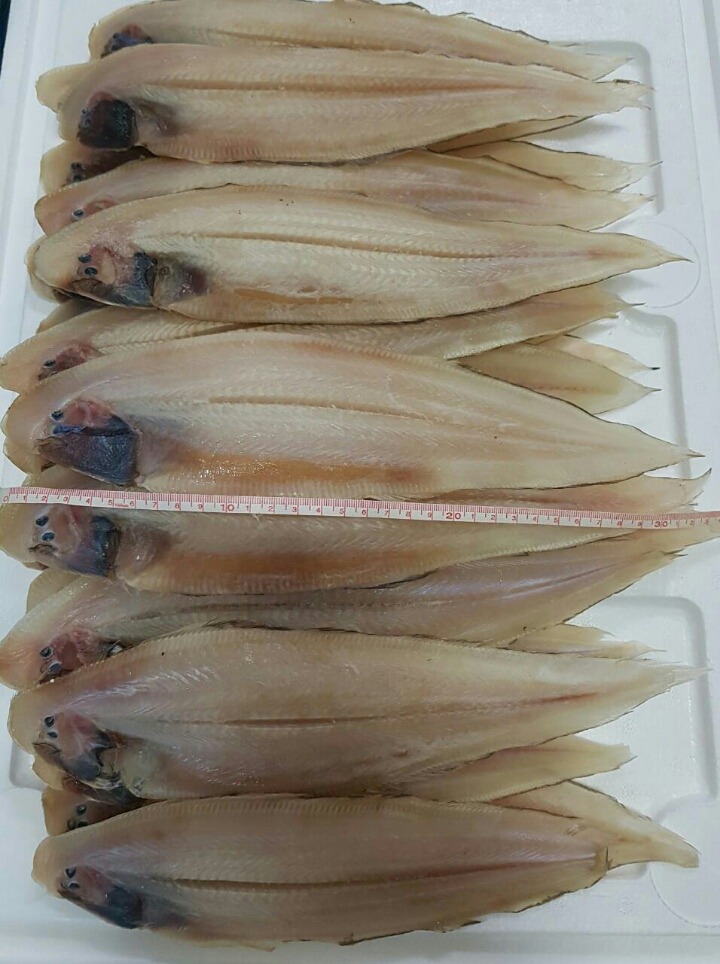 서천박대 이미지