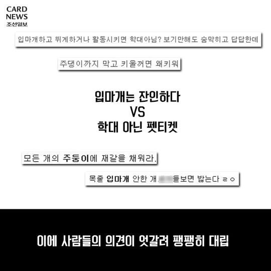 개통령 강형욱이 말하는 입마개 | 인스티즈