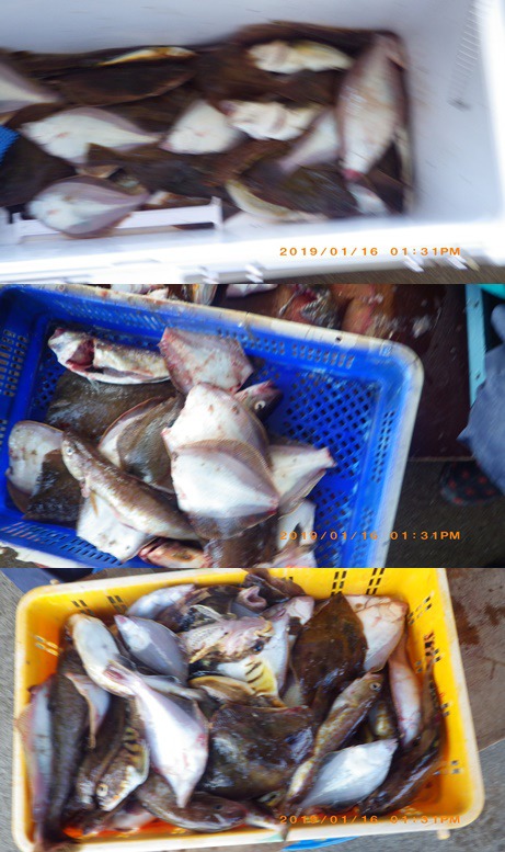 성복호 이미지