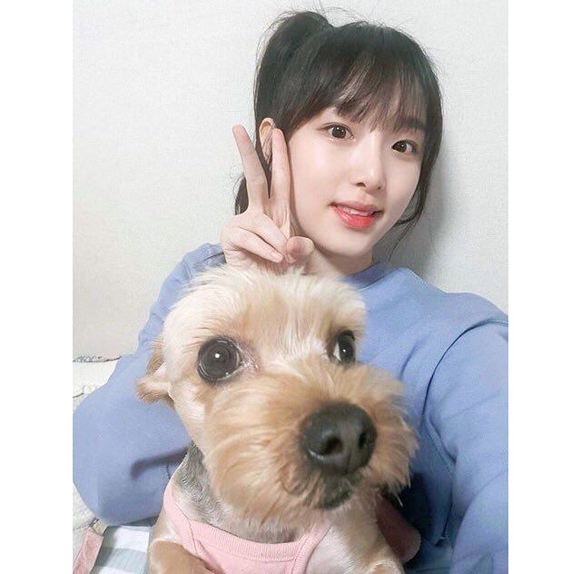 [아이즈원] 주인닮은 아이즈원 강아지들.jpg | 인스티즈