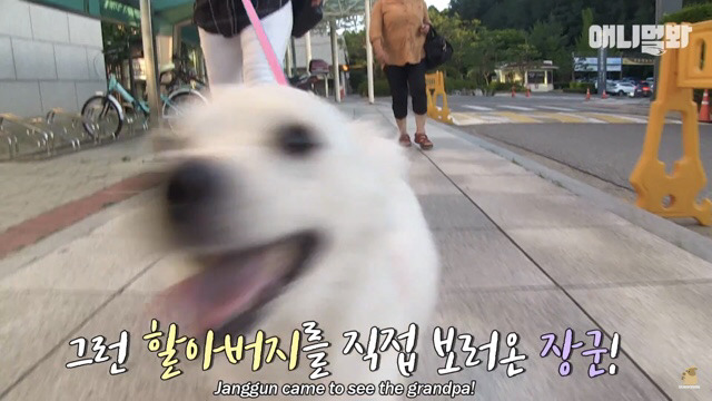 주인님이 열흘 째 문을 열어주지 않아요.. (캡쳐) | 인스티즈