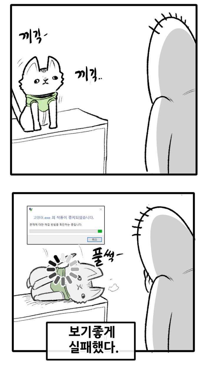 우리집 고양이 이야기.manhwa | 인스티즈