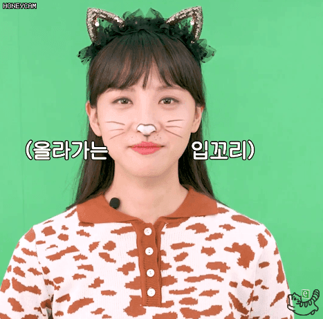 냥이 코커 김민아 | 인스티즈
