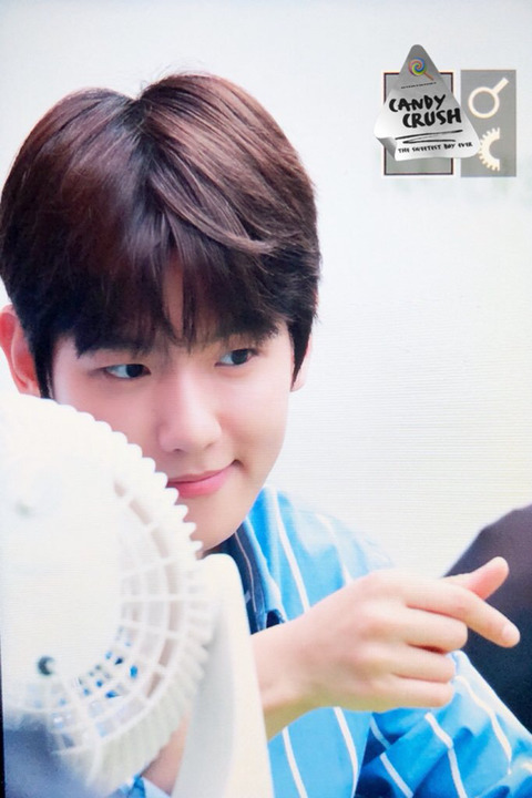 줌 이미지