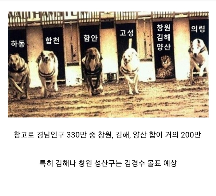 치타 이제 달리면 되나 | 인스티즈