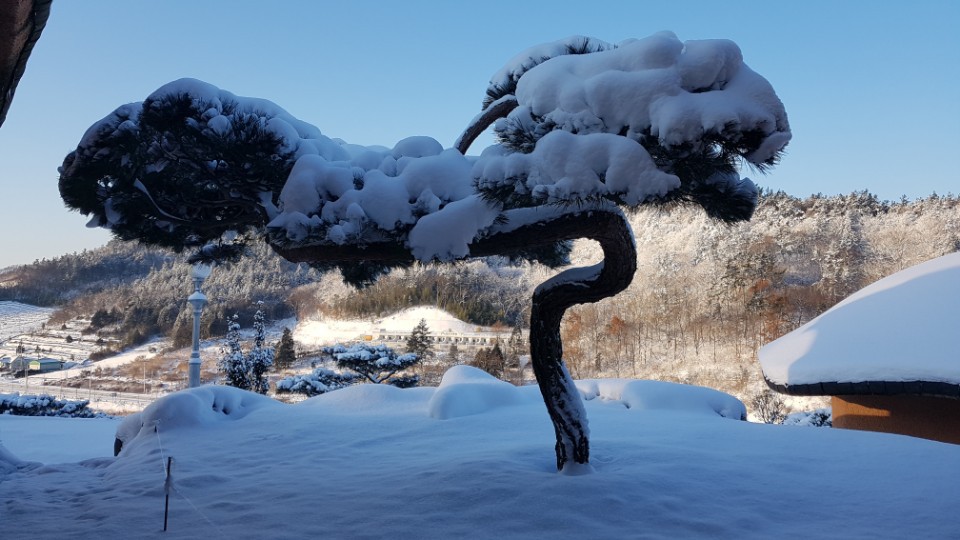 골망태 이미지