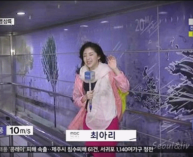 강풍 체험하는 기상캐스터.gif | 인스티즈