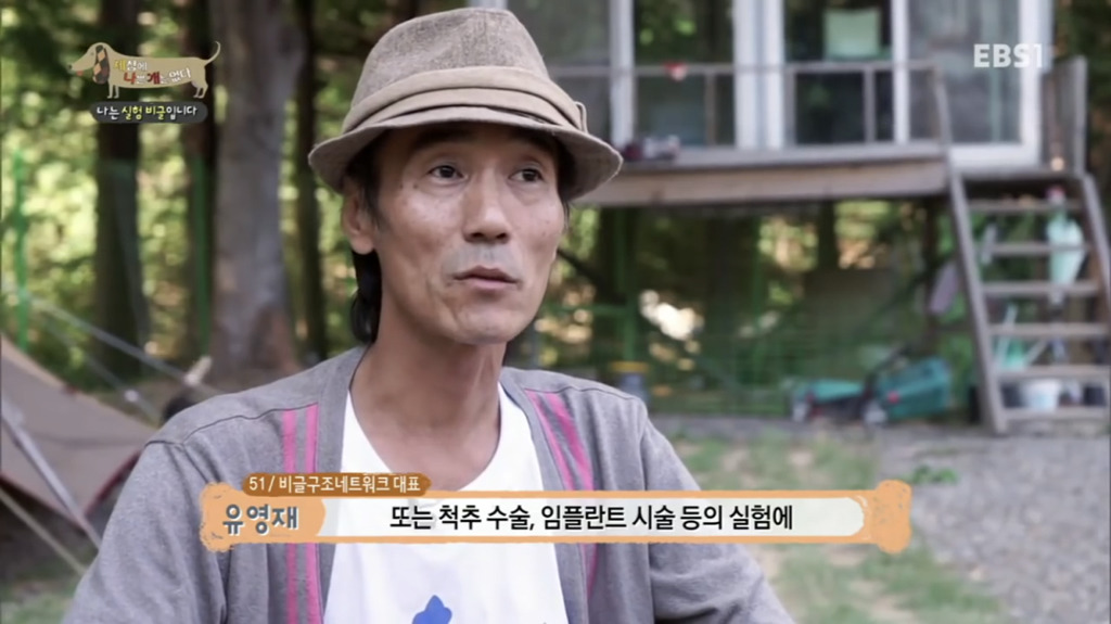 실험 비글을 아십니까? 동물실험에서 가장 많이 사용되는 견종.jpg (맴찢주의) | 인스티즈