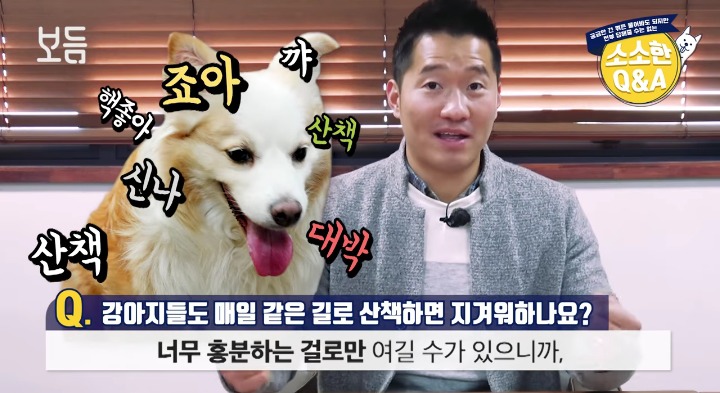 [강형욱의소소한Q&amp;A] 강아지도 매일 같은 길로 산책하면 지겨워 하나요? | 인스티즈