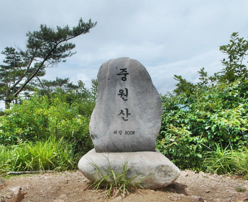 금강자연약초 이미지