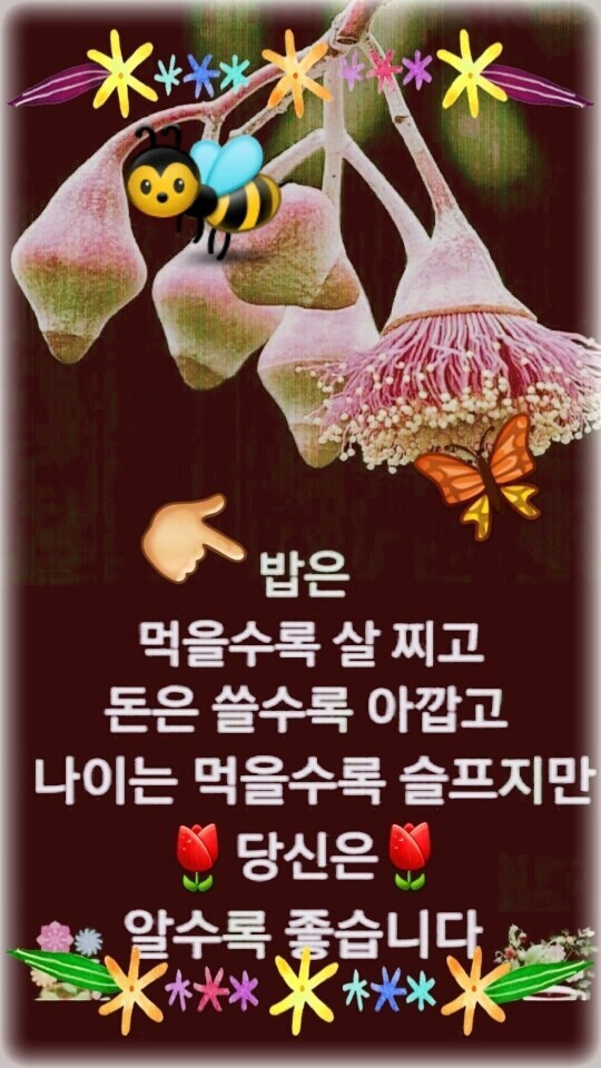 보세와차한잔 이미지