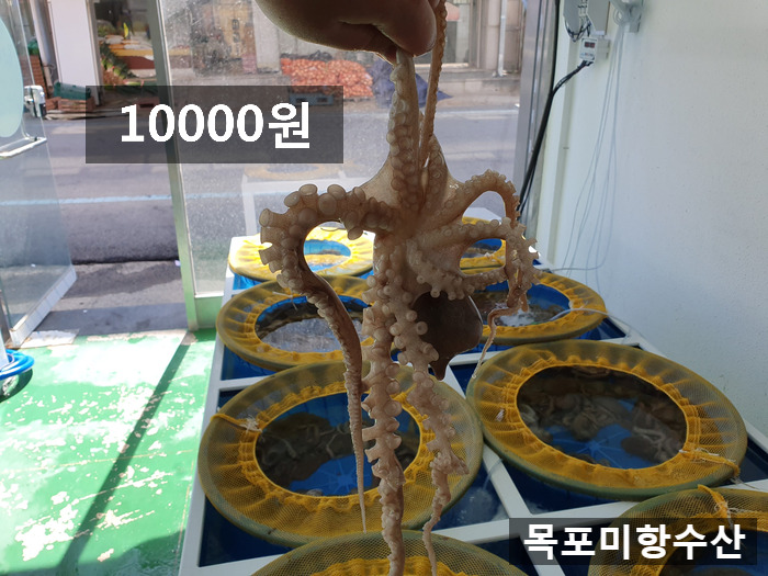 목포뻘낙지 이미지