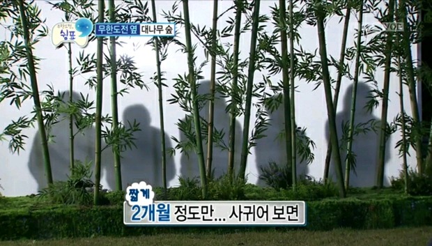 노홍철 탈탈 털어버리는 무한도전 스태프들.jpg | 인스티즈