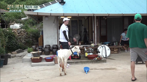 [삼시세끼] 처음 본 잭슨 때문에 놀라서 귱집사 팔 꼬옥 붙드는 고양이 쿵이.gif | 인스티즈
